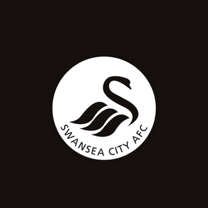 Swansea City AFC
