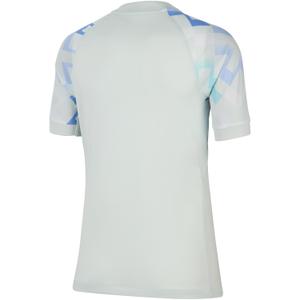 product/2/0/2025_nike_hj5096-497-phsbh001.jpg