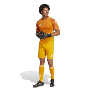 product/a/d/adidas_jm3542_5_apparel_on_model_standard_outfit_view_white.jpg