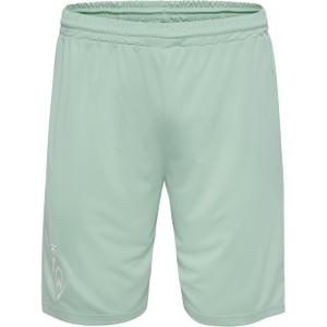 226738-6117-werder-bremen-shorts-2024-25-silt-green