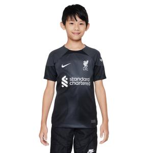 dj7861-061-children-s-jersey-liverpool-fc-2022-23-gray-black-white