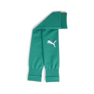 706028-05-football-socks-puma-teamgoal-green
